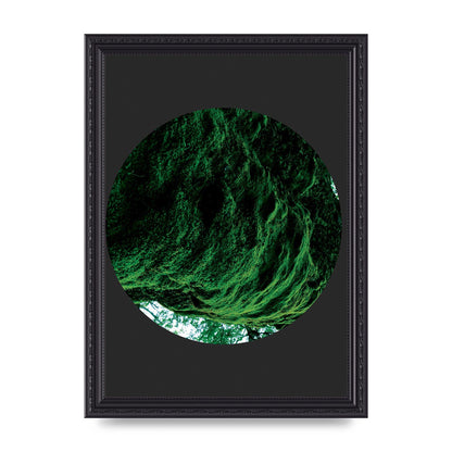 Black Back Green Plant Disc Series Four Art For The Home - A4 framed
