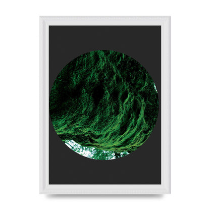 Black Back Green Plant Disc Series Four Art For The Home - A4 framed