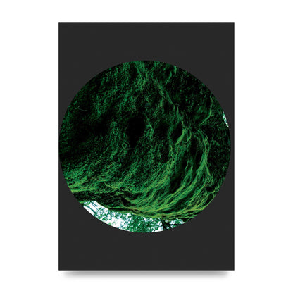 Black Back Green Plant Disc Series Four Art For The Home - unframed print
