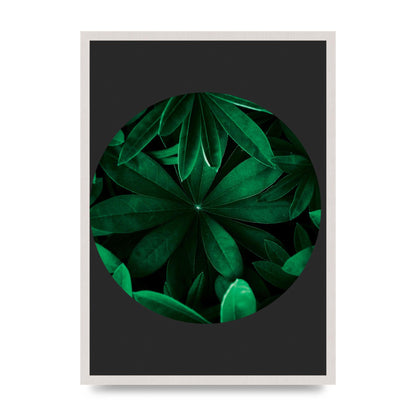 Black Back Green Plant Disc Series Five Printed Poster - A2 framed