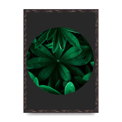 Black Back Green Plant Disc Series Five Printed Poster - A2 framed