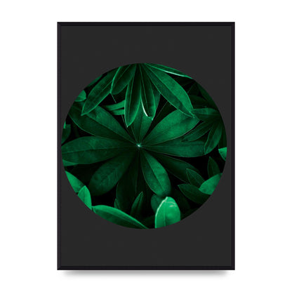 Black Back Green Plant Disc Series Five Printed Poster - A2 framed