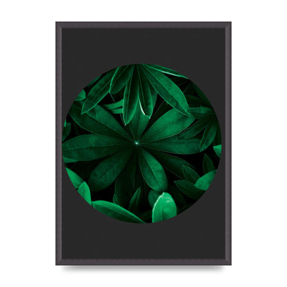 Black Back Green Plant Disc Series Five Printed Poster - A2 framed