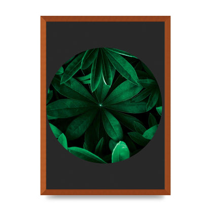 Black Back Green Plant Disc Series Five Printed Poster - A2 framed