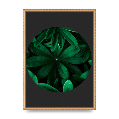 Black Back Green Plant Disc Series Five Printed Poster - A2 framed