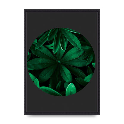 Black Back Green Plant Disc Series Five Printed Poster - A2 framed