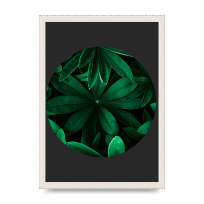 Black Back Green Plant Disc Series Five Printed Poster - A3 framed