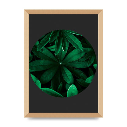 Black Back Green Plant Disc Series Five Printed Poster - A3 framed