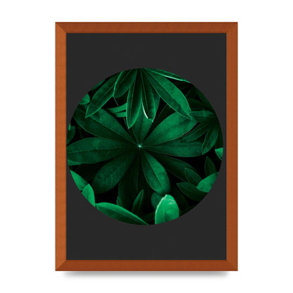 Black Back Green Plant Disc Series Five Printed Poster - A3 framed