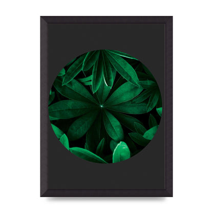 Black Back Green Plant Disc Series Five Printed Poster - A3 framed