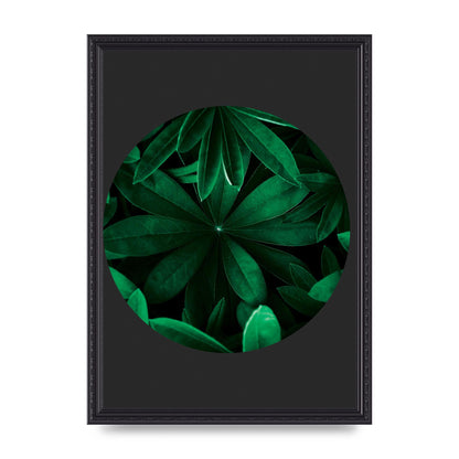 Black Back Green Plant Disc Series Five Printed Poster - A3 framed