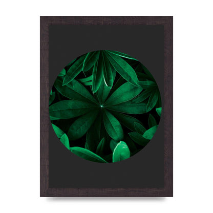 Black Back Green Plant Disc Series Five Printed Poster - A4 framed