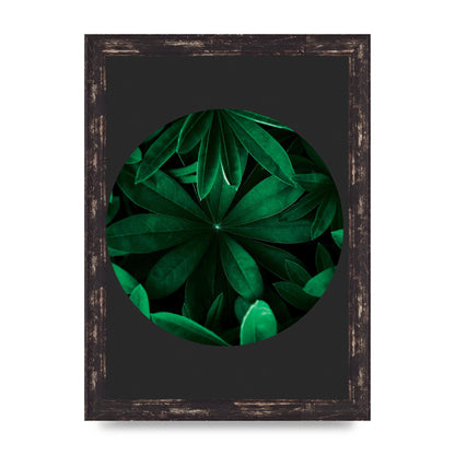 Black Back Green Plant Disc Series Five Printed Poster - A4 framed