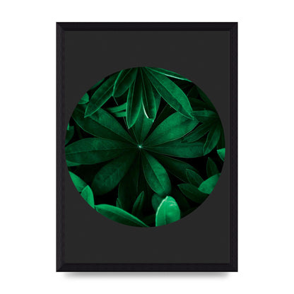 Black Back Green Plant Disc Series Five Printed Poster - A4 framed