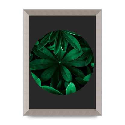 Black Back Green Plant Disc Series Five Printed Poster - A4 framed