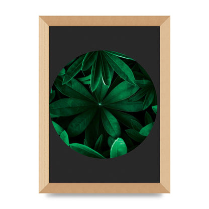 Black Back Green Plant Disc Series Five Printed Poster - A4 framed