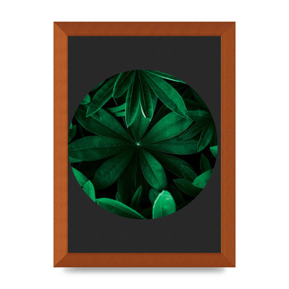 Black Back Green Plant Disc Series Five Printed Poster - A4 framed