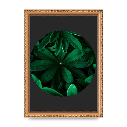 Black Back Green Plant Disc Series Five Printed Poster - A4 framed