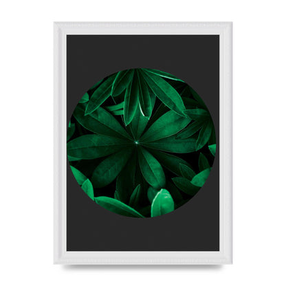 Black Back Green Plant Disc Series Five Printed Poster - A4 framed