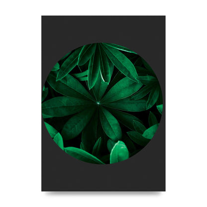 Black Back Green Plant Disc Series Five Printed Poster - unframed print
