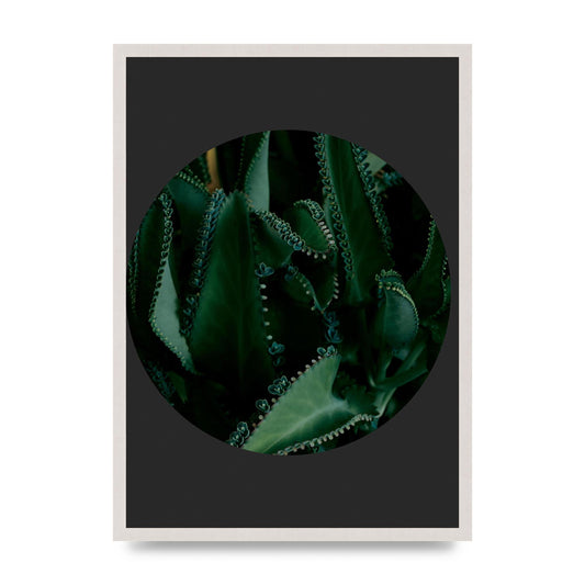 Black Back Green Plant Disc Series Six Wall Art - A2 framed
