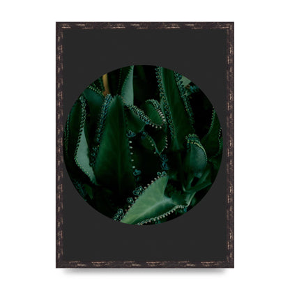 Black Back Green Plant Disc Series Six Wall Art - A2 framed