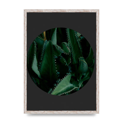 Black Back Green Plant Disc Series Six Wall Art - A2 framed