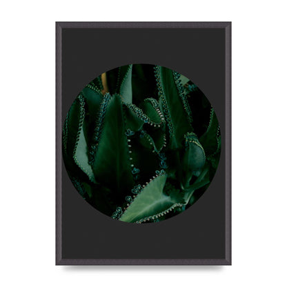 Black Back Green Plant Disc Series Six Wall Art - A2 framed