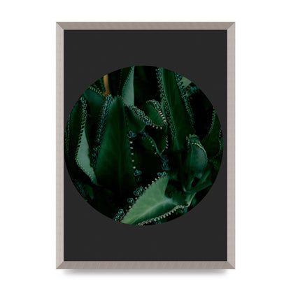 Black Back Green Plant Disc Series Six Wall Art - A2 framed
