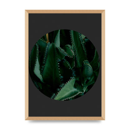 Black Back Green Plant Disc Series Six Wall Art - A2 framed