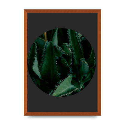 Black Back Green Plant Disc Series Six Wall Art - A2 framed