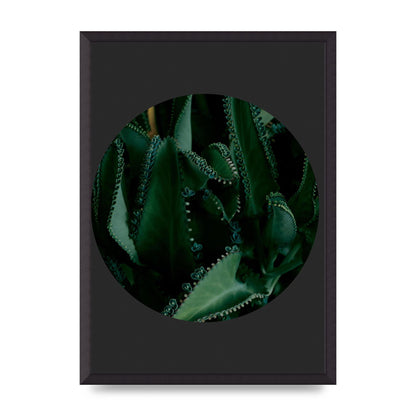 Black Back Green Plant Disc Series Six Wall Art - A2 framed