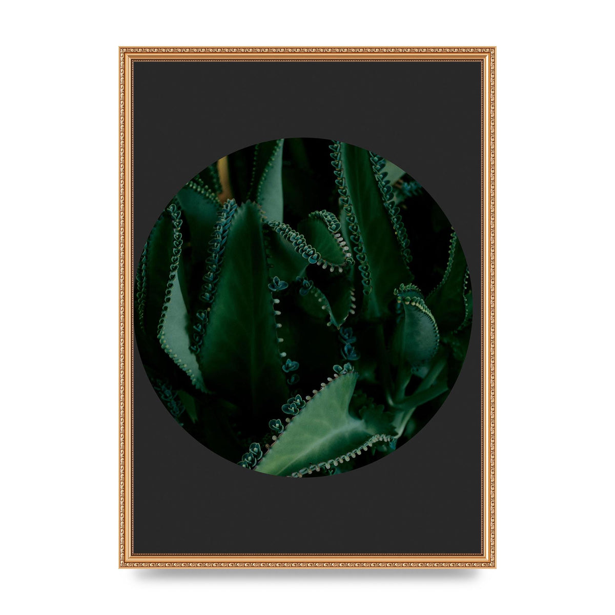 Black Back Green Plant Disc Series Six Wall Art - A2 framed