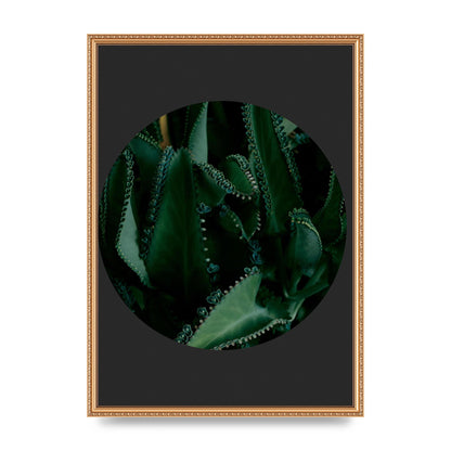 Black Back Green Plant Disc Series Six Wall Art - A2 framed