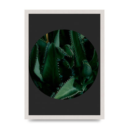 Black Back Green Plant Disc Series Six Wall Art - A3 framed