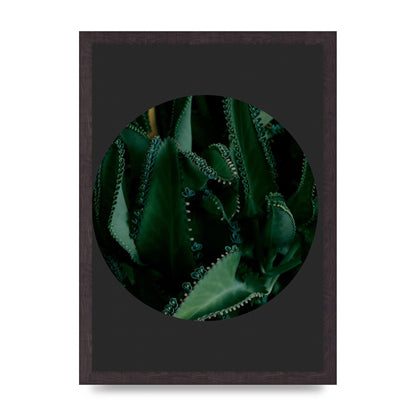 Black Back Green Plant Disc Series Six Wall Art - A3 framed