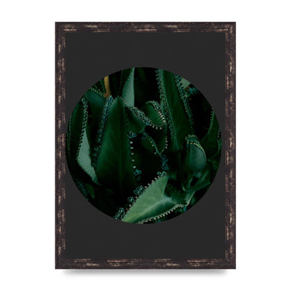 Black Back Green Plant Disc Series Six Wall Art - A3 framed