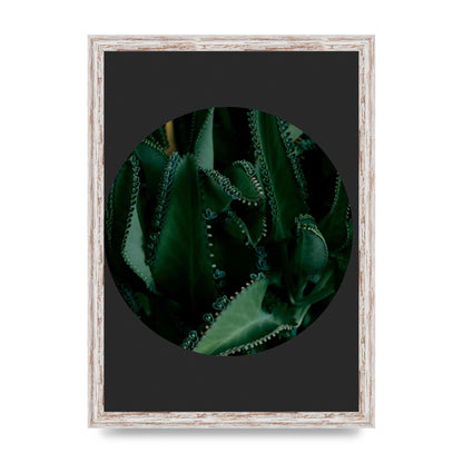 Black Back Green Plant Disc Series Six Wall Art - A3 framed