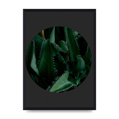 Black Back Green Plant Disc Series Six Wall Art - A3 framed