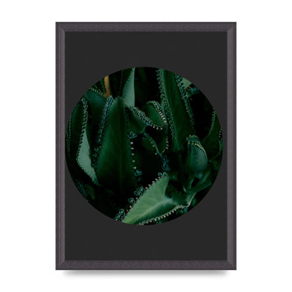 Black Back Green Plant Disc Series Six Wall Art - A3 framed