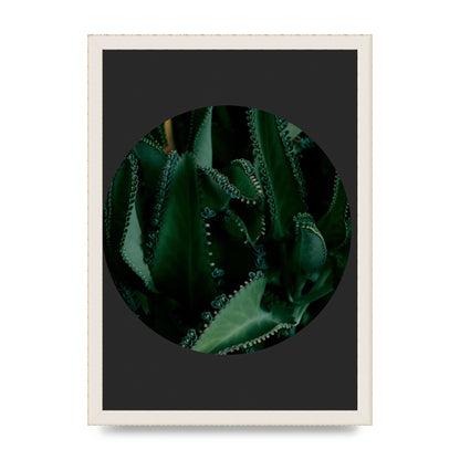 Black Back Green Plant Disc Series Six Wall Art - A3 framed