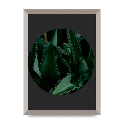 Black Back Green Plant Disc Series Six Wall Art - A3 framed