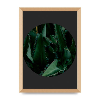 Black Back Green Plant Disc Series Six Wall Art - A3 framed