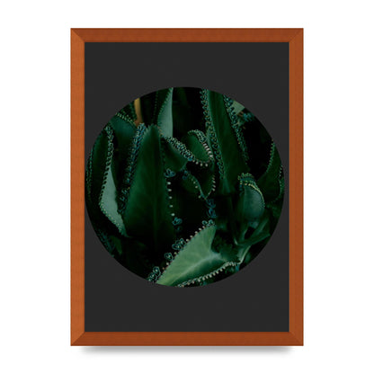 Black Back Green Plant Disc Series Six Wall Art - A3 framed