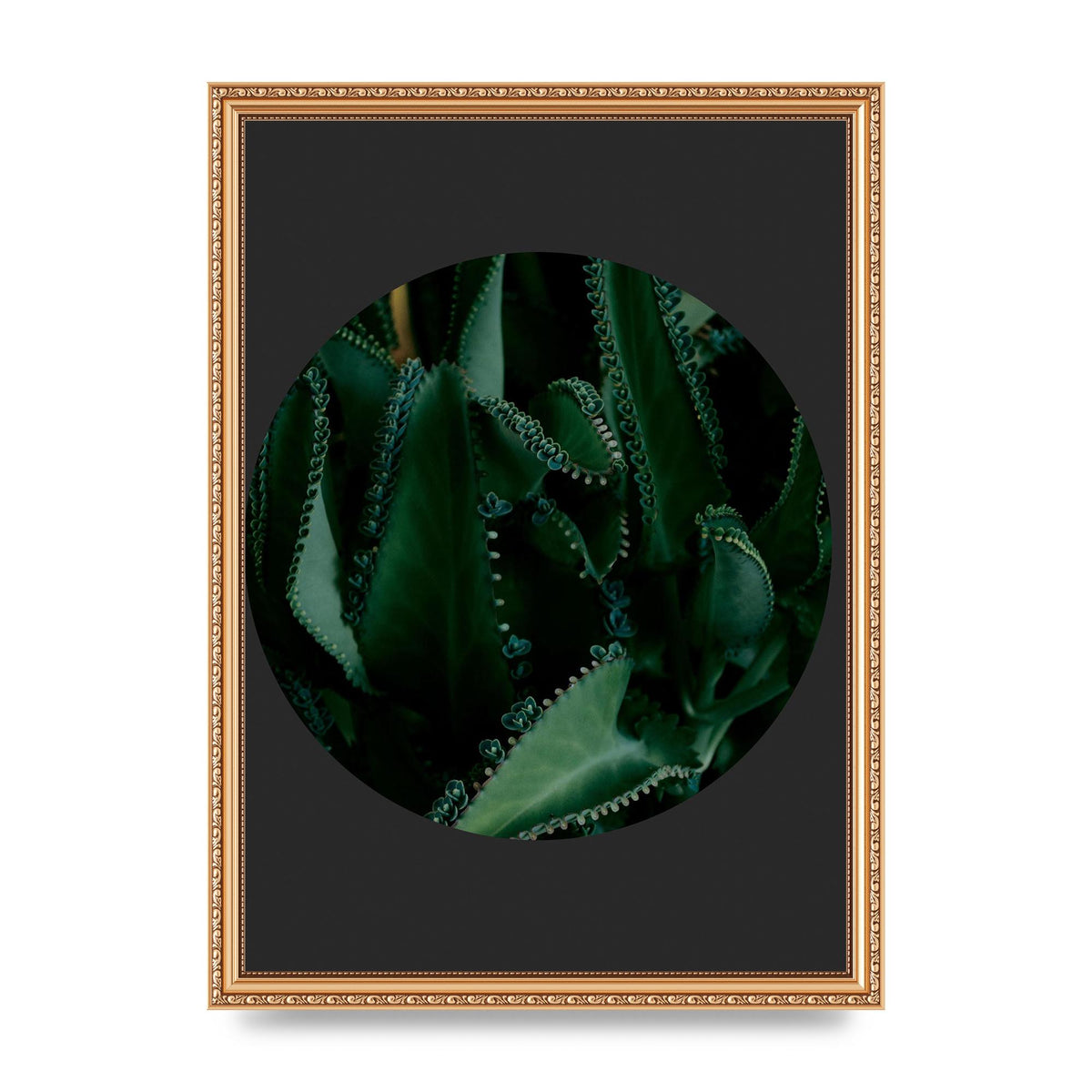 Black Back Green Plant Disc Series Six Wall Art - A3 framed