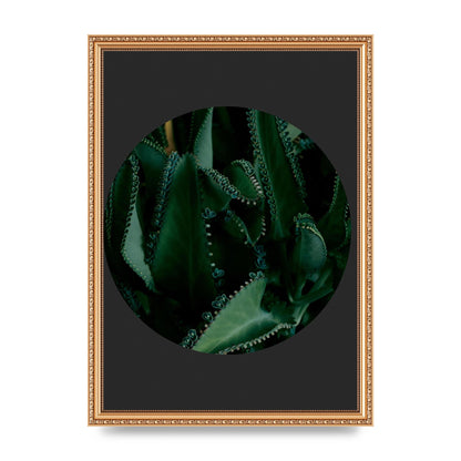 Black Back Green Plant Disc Series Six Wall Art - A3 framed