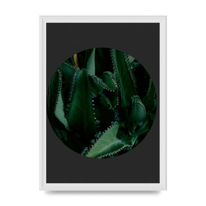 Black Back Green Plant Disc Series Six Wall Art - A3 framed