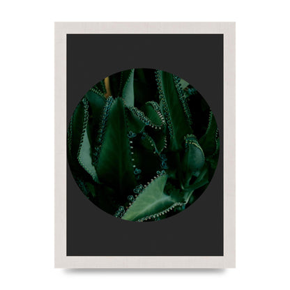 Black Back Green Plant Disc Series Six Wall Art - A4 framed