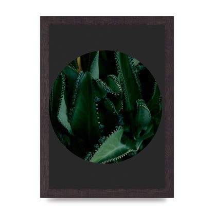 Black Back Green Plant Disc Series Six Wall Art - A4 framed