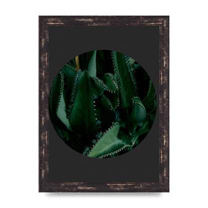 Black Back Green Plant Disc Series Six Wall Art - A4 framed